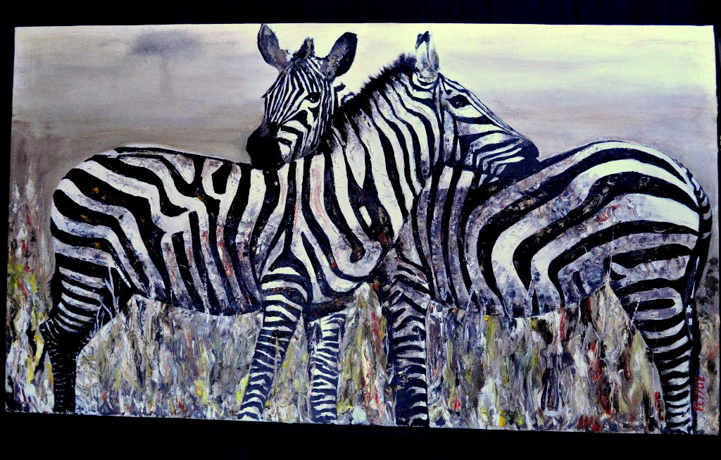 Zebra reprodüksiyon Zebra reproduction